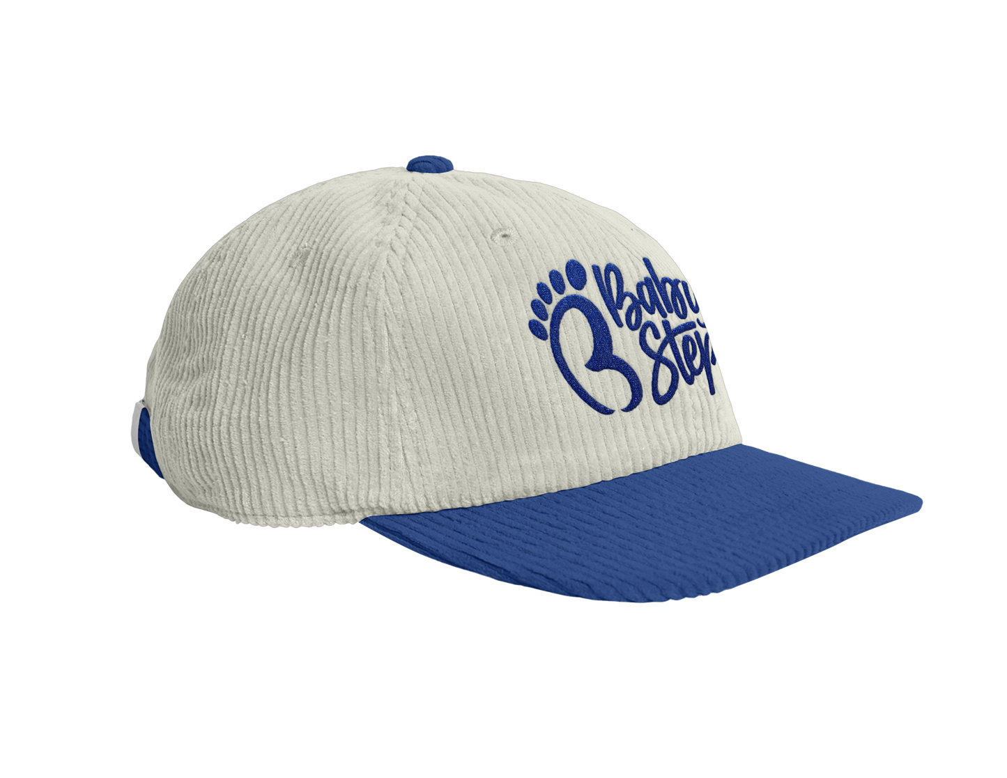 CORDUROY CAP - BLUE