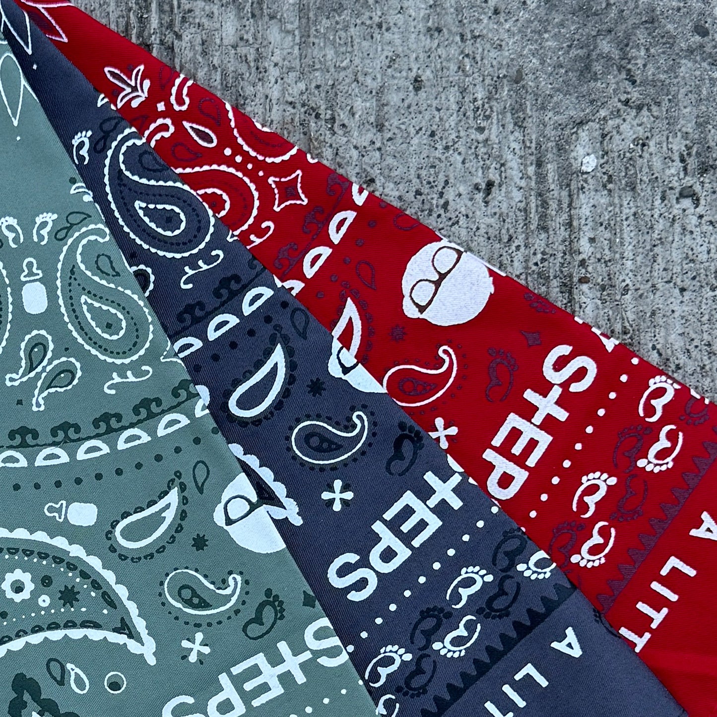 PAISLEY BANDANA